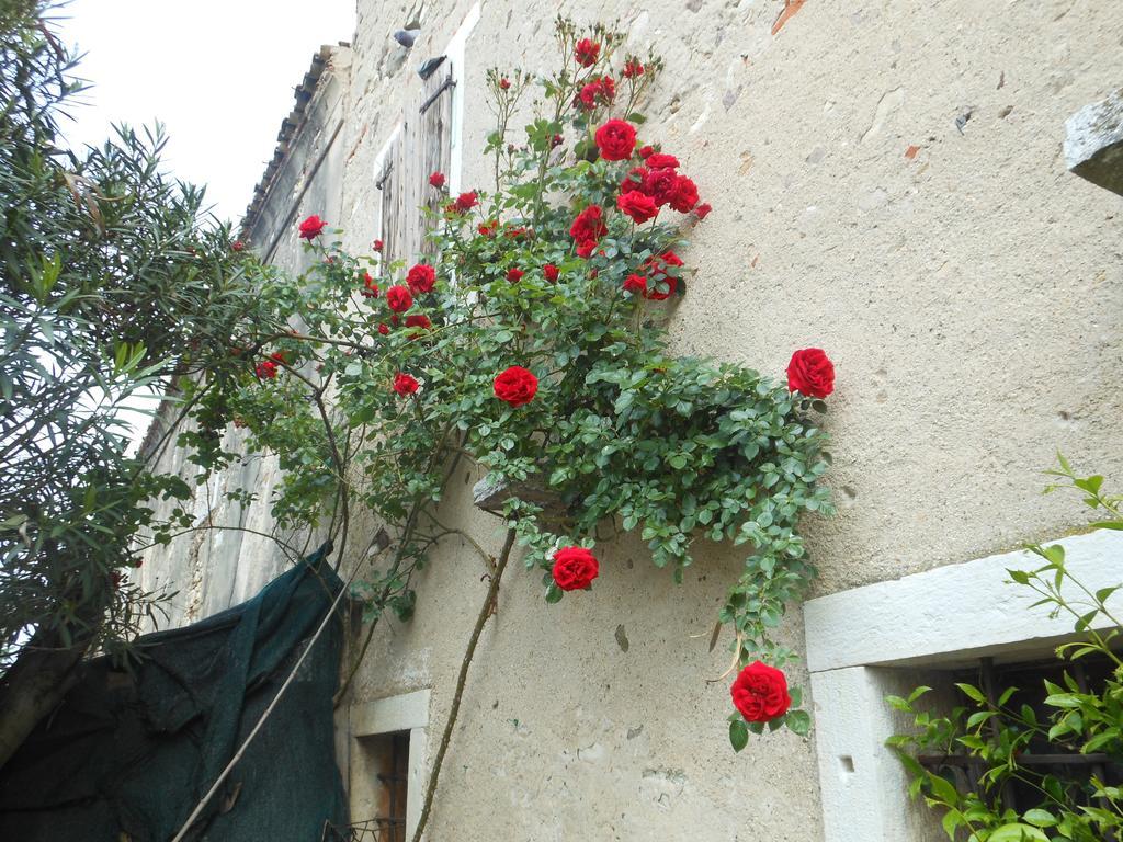 Albergo Mio Lazise Rom bilde