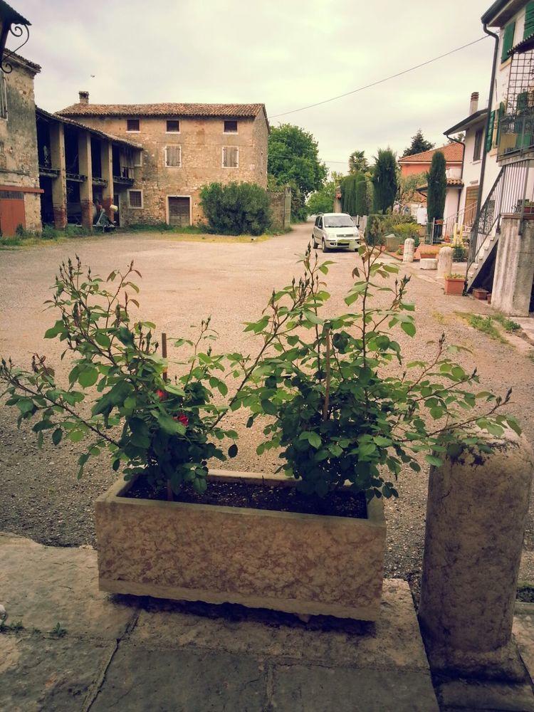 Albergo Mio Lazise Eksteriør bilde